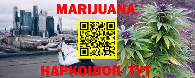 ECSTASY Новозыбков