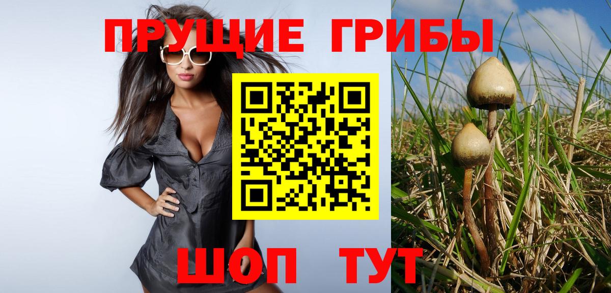 Псилоцибиновые грибы ЛСД Усть-Илимск