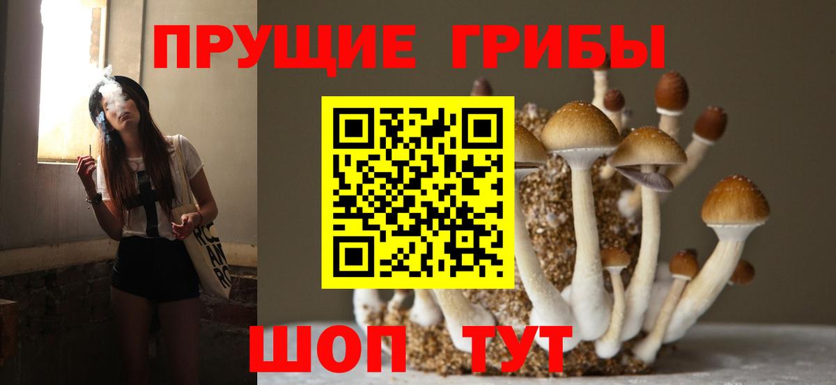Усть-Илимск  Псилоцибиновые грибы Cubensis  Вход с VPN 